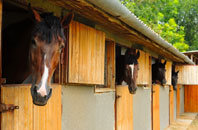 free Great Common stable construction quotes